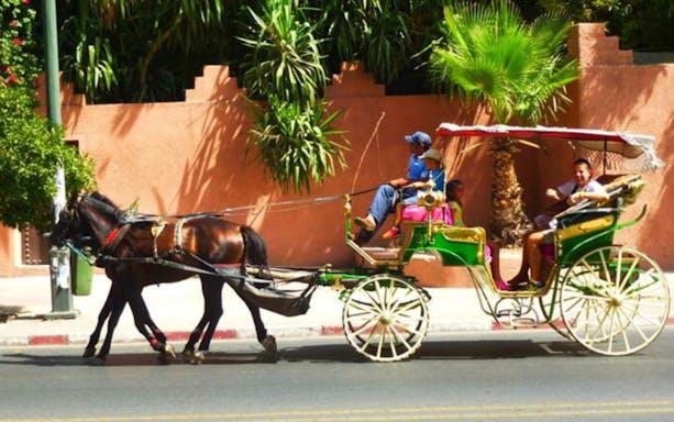 Horse-drawn carriage tour in Marrakesh's Majorelle & Menara Gardens.