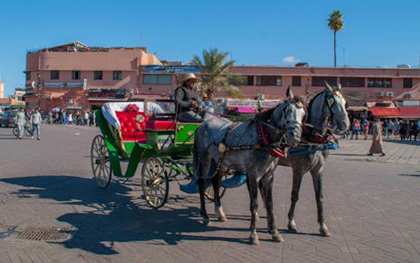 Horse-drawn carriage in Marrakesh's square, starting tour to Majorelle and Menara Gardens.
