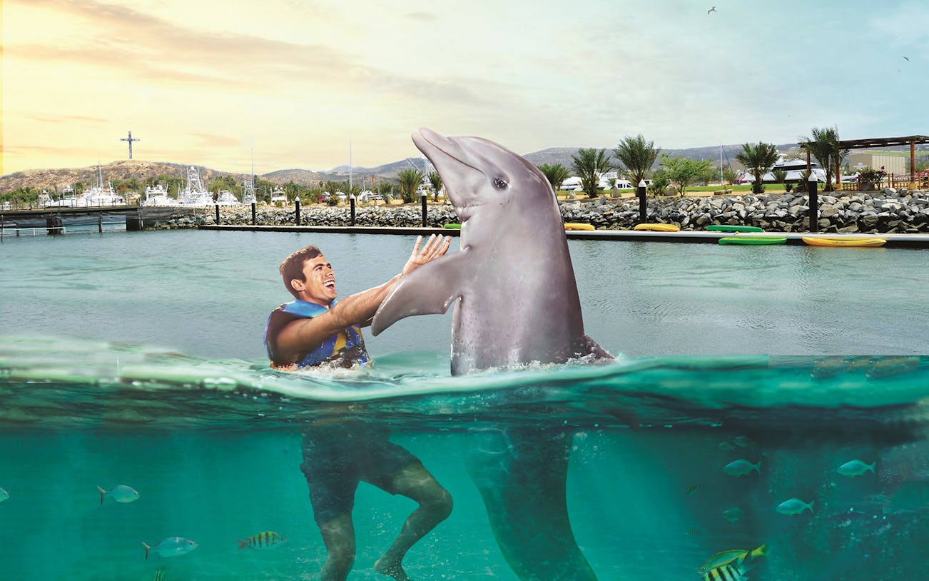 Man interacting with a dolphin at Aquaventuras Park, Puerto Vallarta.