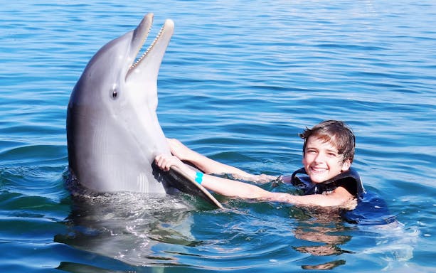 Child interacting with a dolphin in Cozumel's Chankanaab Park.