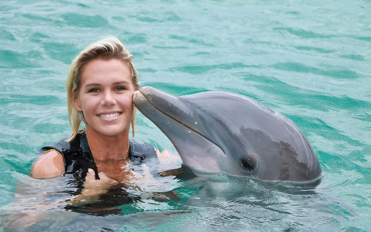 cozumel: swim with sea lions & chankanaab park ticket-1 cozumel: swim with sea lions & chankanaab park ticket-1