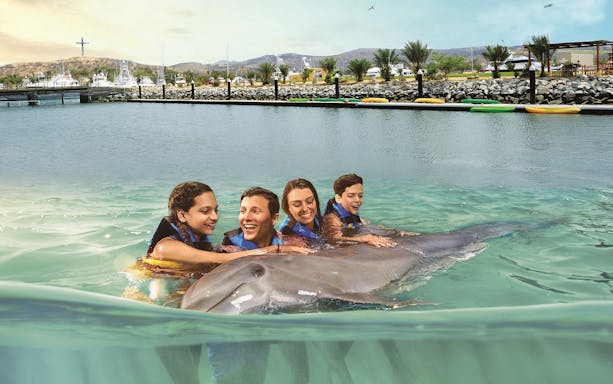 Group swimming with sea lion at Chankanaab Park, Cozumel.