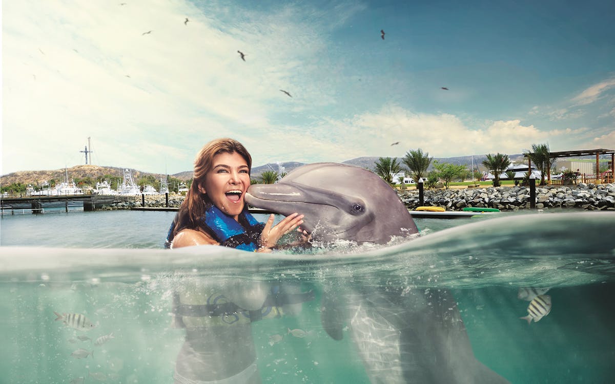 cozumel: swim with sea lions & chankanaab park ticket-2 cozumel: swim with sea lions & chankanaab park ticket-2