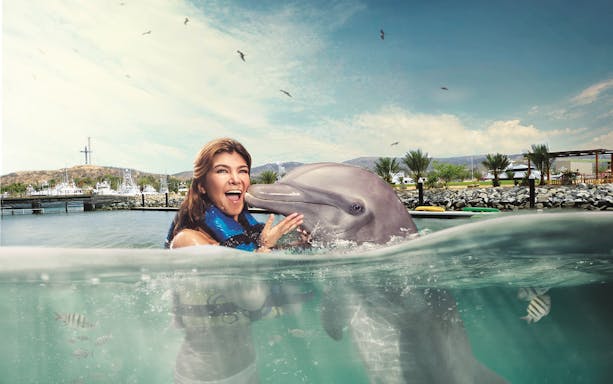 Person interacting with a dolphin at Chankanaab Park, Cozumel.