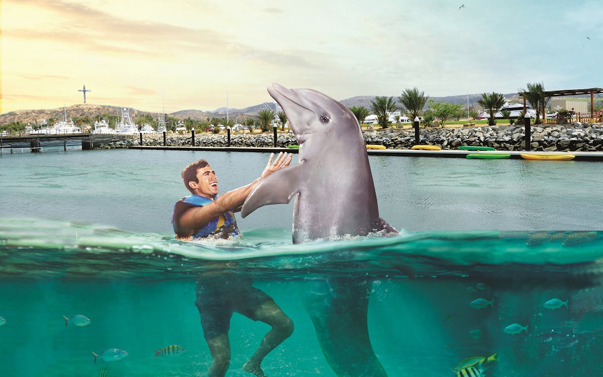 cozumel: swim with sea lions & chankanaab park ticket-3 cozumel: swim with sea lions & chankanaab park ticket-3