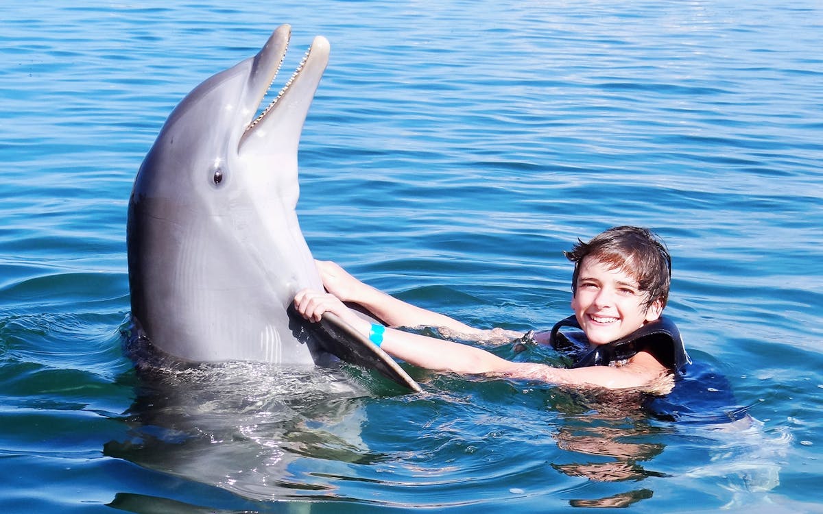 cozumel: swim with sea lions & chankanaab park ticket-6 cozumel: swim with sea lions & chankanaab park ticket-6