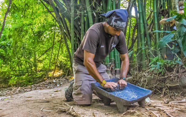 Banderas Bay jungle tour truck navigating lush forest trail in Puerto Vallarta, Mexico.