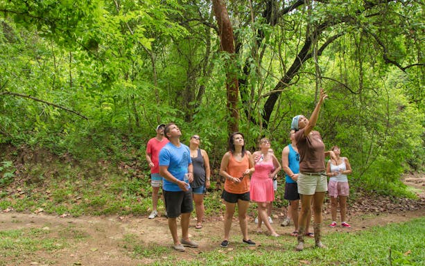 Tourists in an open truck exploring the lush Banderas Bay jungle in Puerto Vallarta.