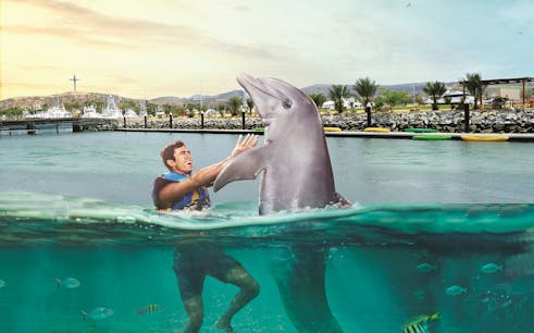 Riviera Maya: Royal Swim Plus with Buffet Meal