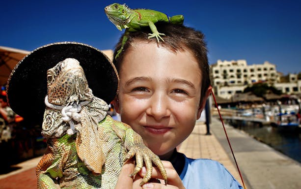 Boy holding iguana with sombrero in Puerto Vallarta during 360 City Tour.
