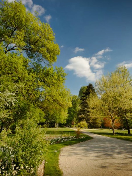 Pathway through lush gardens in Loire Valley, France.