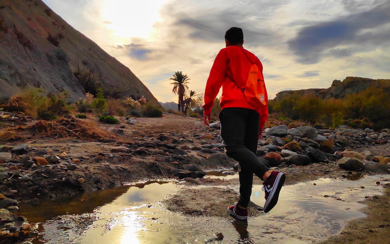 Person walking through Tabernas Desert landscape with palm trees and rocky terrain, Almeria.