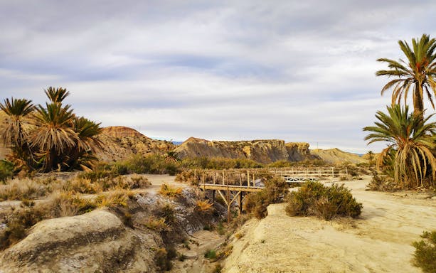 Tabernas Desert landscape with palm trees and wooden bridge, Almeria.