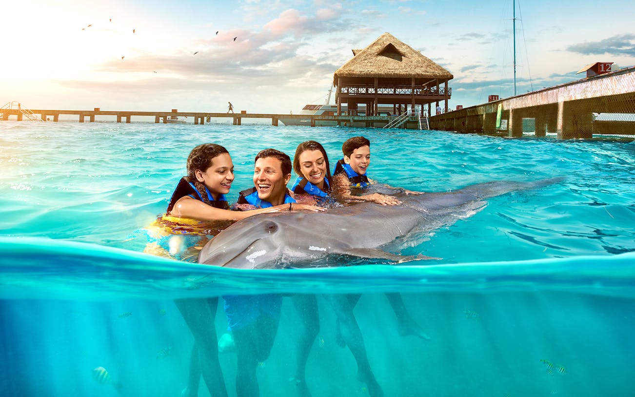 Swimming with dolphins at a Cancun resort pier, part of Go Cancun Pass experience.