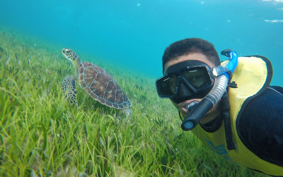 cancun explorer pass by go city -6 cancun explorer pass by go city -6