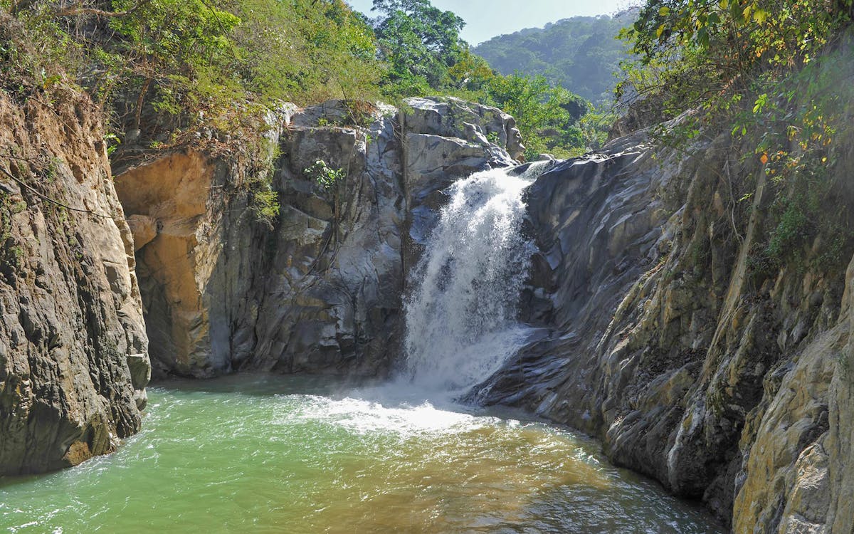 banderas bay: sea safari & horseback riding tour with lunch-9 banderas bay: sea safari & horseback riding tour with lunch-9