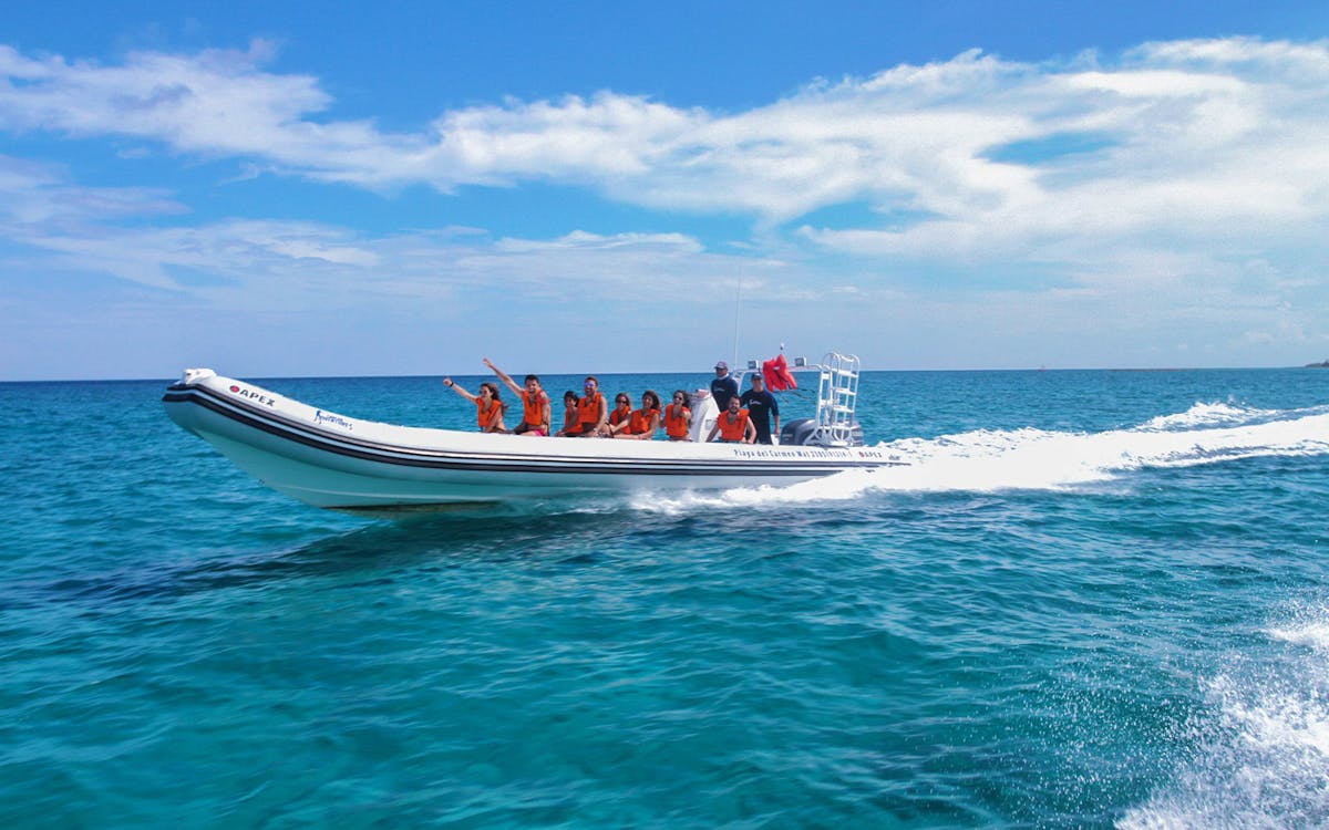 banderas bay: sea safari & horseback riding tour with lunch-7 banderas bay: sea safari & horseback riding tour with lunch-7