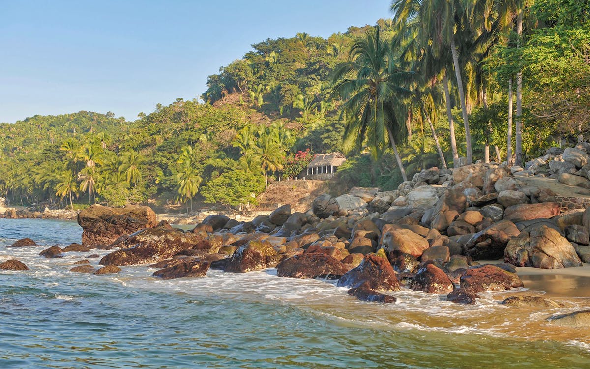 banderas bay: sea safari & horseback riding tour with lunch-8 banderas bay: sea safari & horseback riding tour with lunch-8
