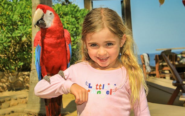 Child with a parrot at Las Caletas Beach, Mexico.