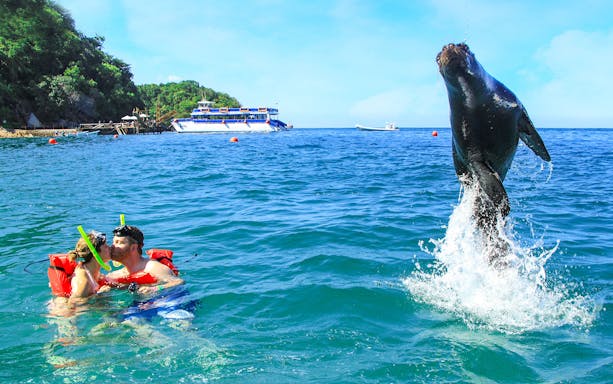 Snorkelers near a jumping sea lion with a yacht in Puerto Vallarta waters.