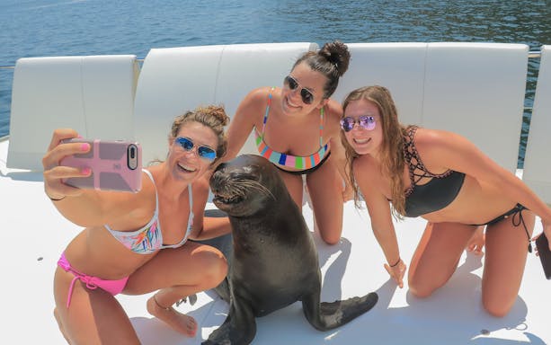 Women taking a selfie with a sea lion on a yacht during a Puerto Vallarta snorkeling tour.
