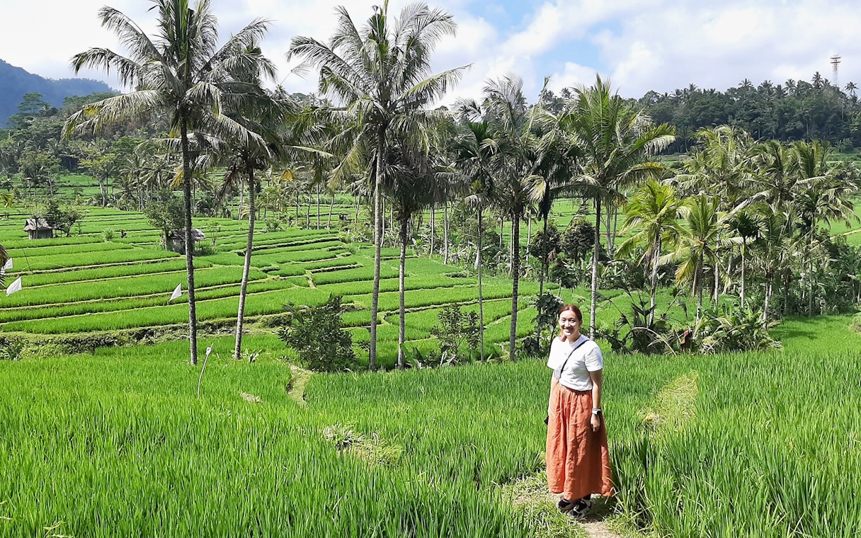 Person standing in Bali's lush Ubud rice terraces with palm trees in the background.