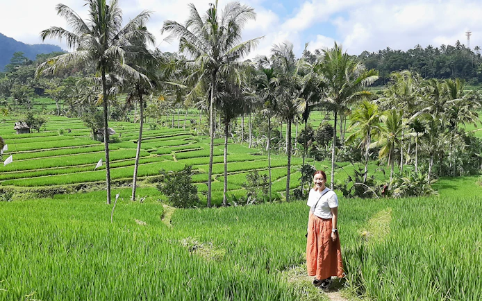 Person standing in Bali's lush Ubud rice terraces with palm trees in the background.