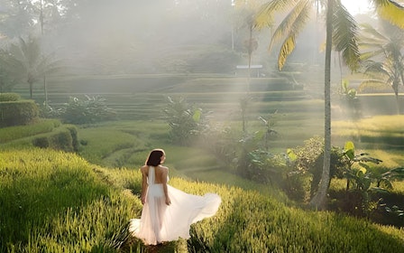 Best Ubud Tour: Monkey forest, Rice Terrace & Waterfall