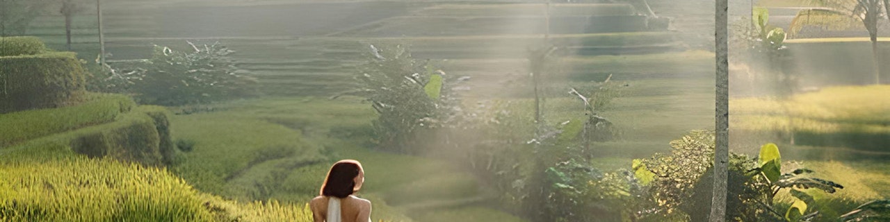 Il miglior tour di Ubud: Foresta delle scimmie, terrazza del riso e cascata