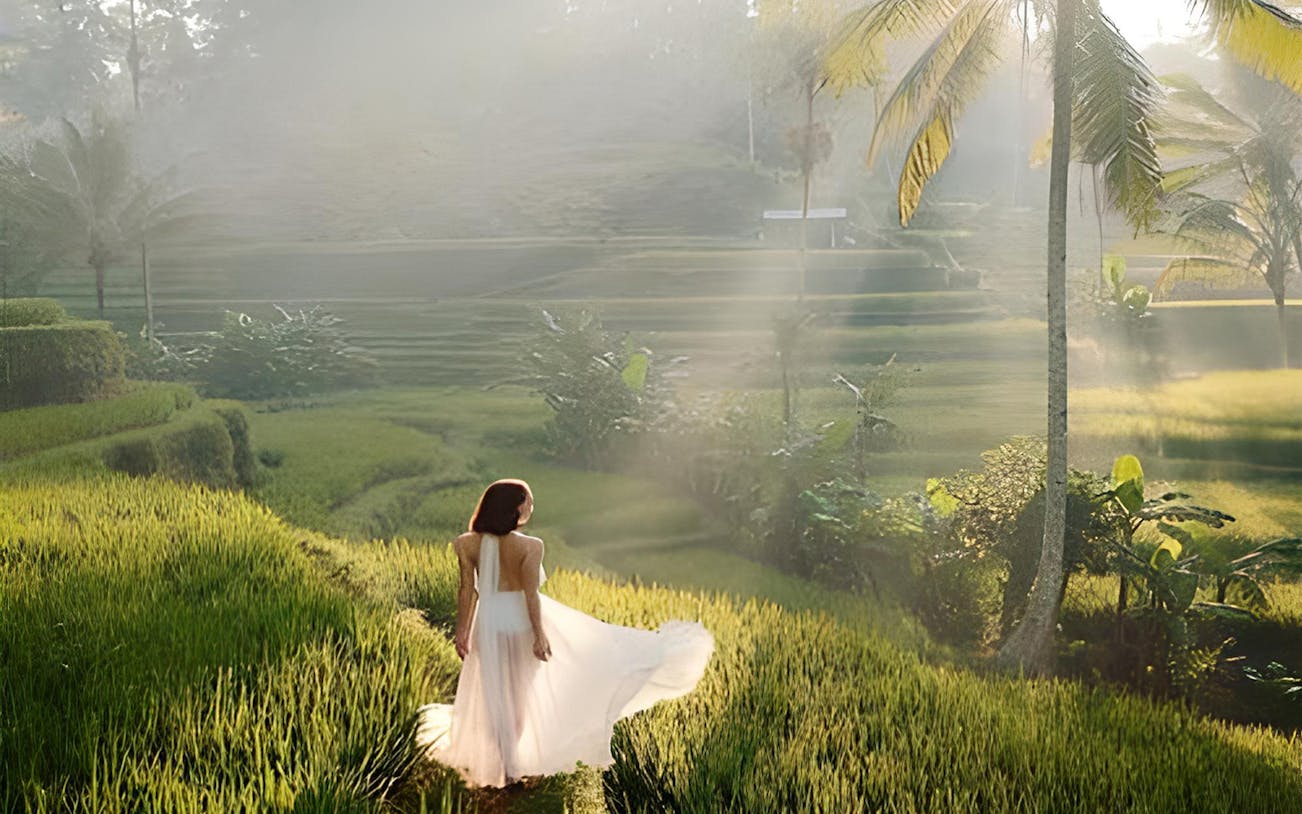 Woman walking through lush rice terraces in Ubud, Bali, with palm trees in the background.