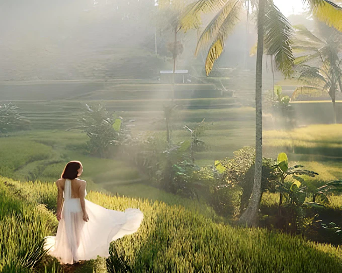 Best Ubud Tour: Monkey forest, Rice Terrace & Waterfall