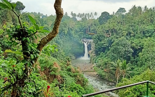 Tegenungan Waterfall surrounded by lush greenery in Ubud, Bali.