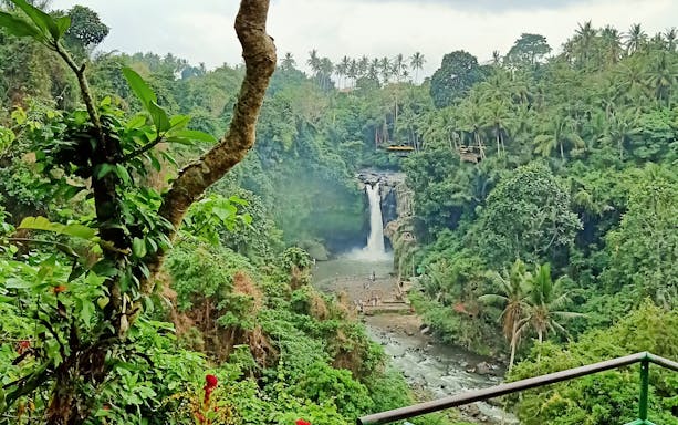 Tegenungan Waterfall surrounded by lush greenery in Ubud, Bali.
