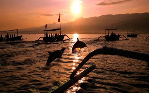 Dolphins jumping at sunrise near boats in Lovina, Bali.