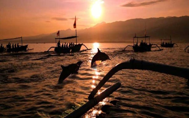 Dolphins jumping at sunrise near boats in Lovina, Bali.
