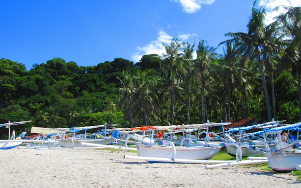 Traditional fishing boats on Lovina Beach, Bali, with palm trees and lush greenery in the background.