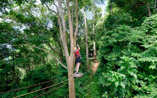 Person ziplining through lush forest in Phuket during Skyline Adventure experience.