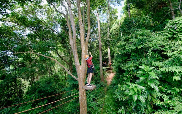 Person ziplining through lush forest in Phuket during Skyline Adventure experience.