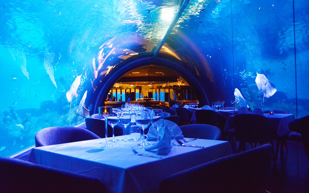 Underwater dining experience at Aquaria Phuket with view of marine life.