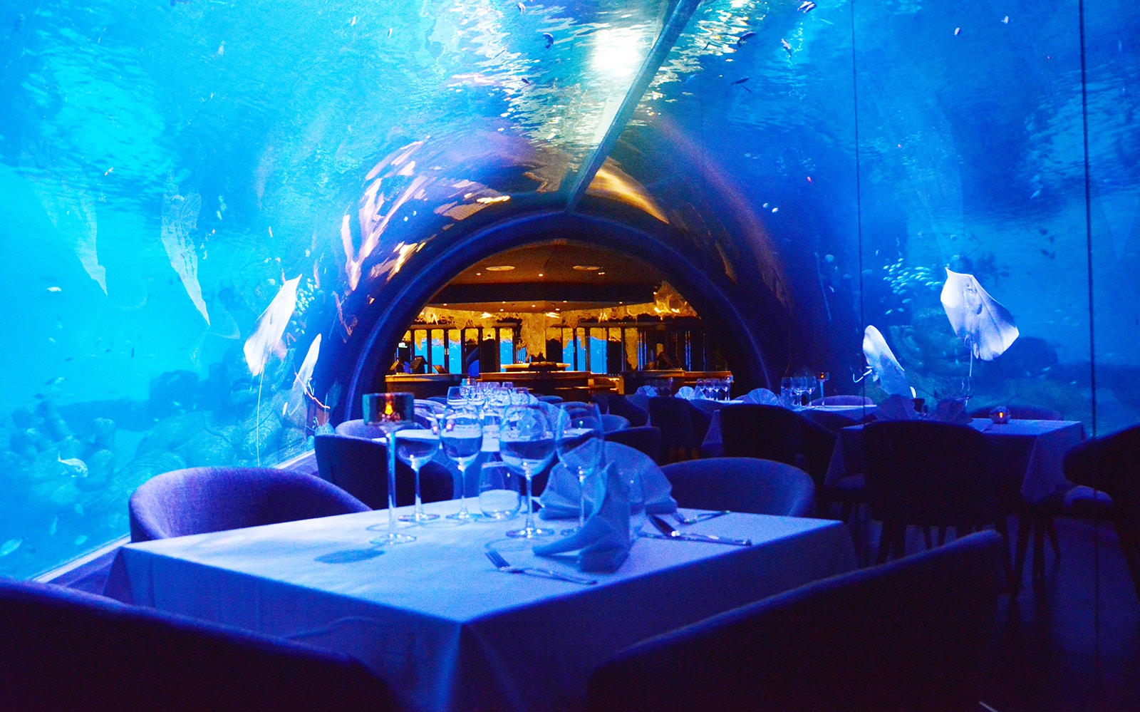 Visitors exploring marine life exhibits at Aquaria Phuket, Thailand.