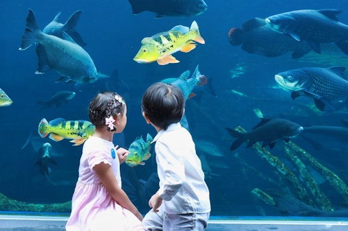 Aquaria Phuket Tickets: Foreign Travelers