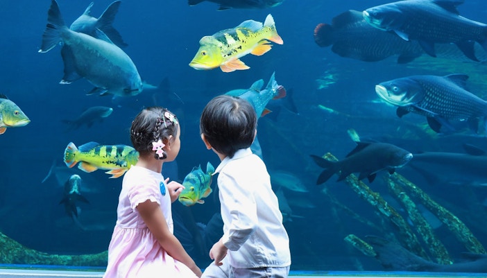 Visitors exploring Aquaria Phuket's underwater tunnel with diverse marine life.