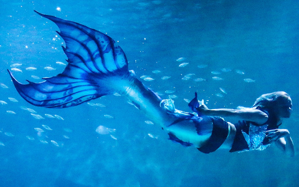 Mermaid performer swimming at Aquaria Phuket.