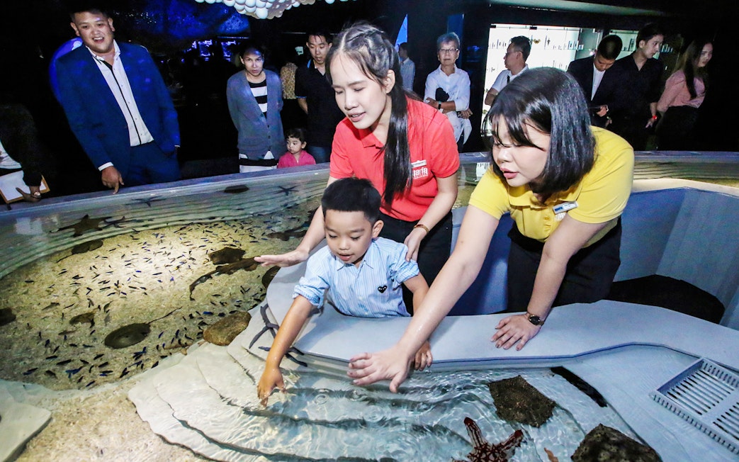 Child interacting with touch pool at Aquaria Phuket.