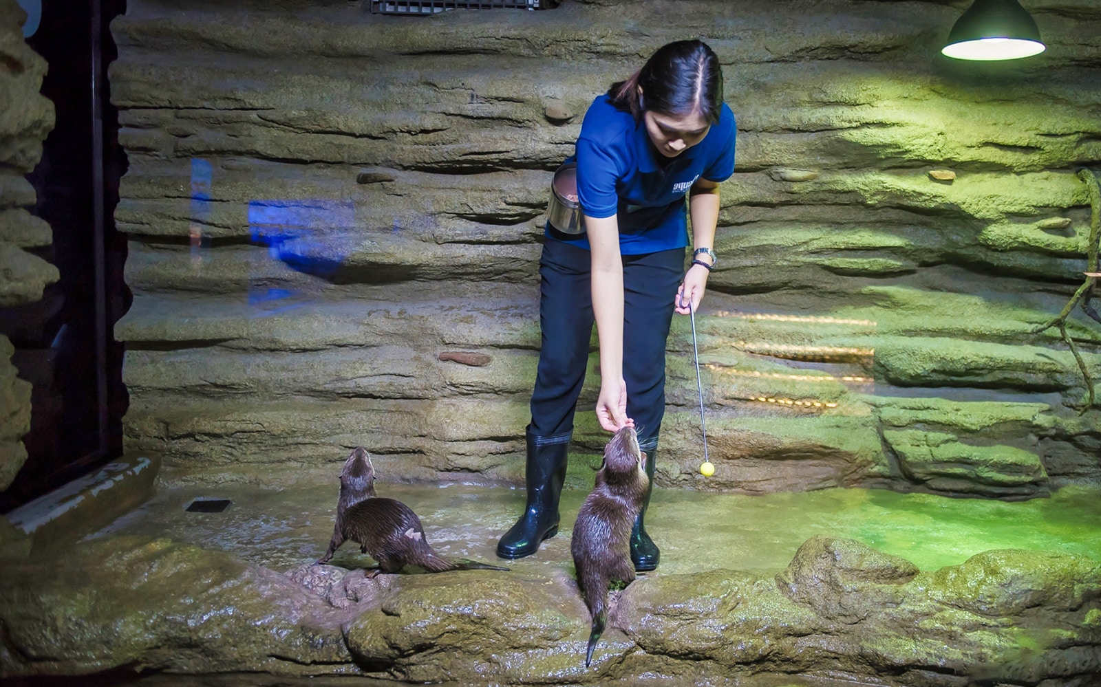 Visitors exploring Aquaria Phuket's vibrant marine life exhibits.
