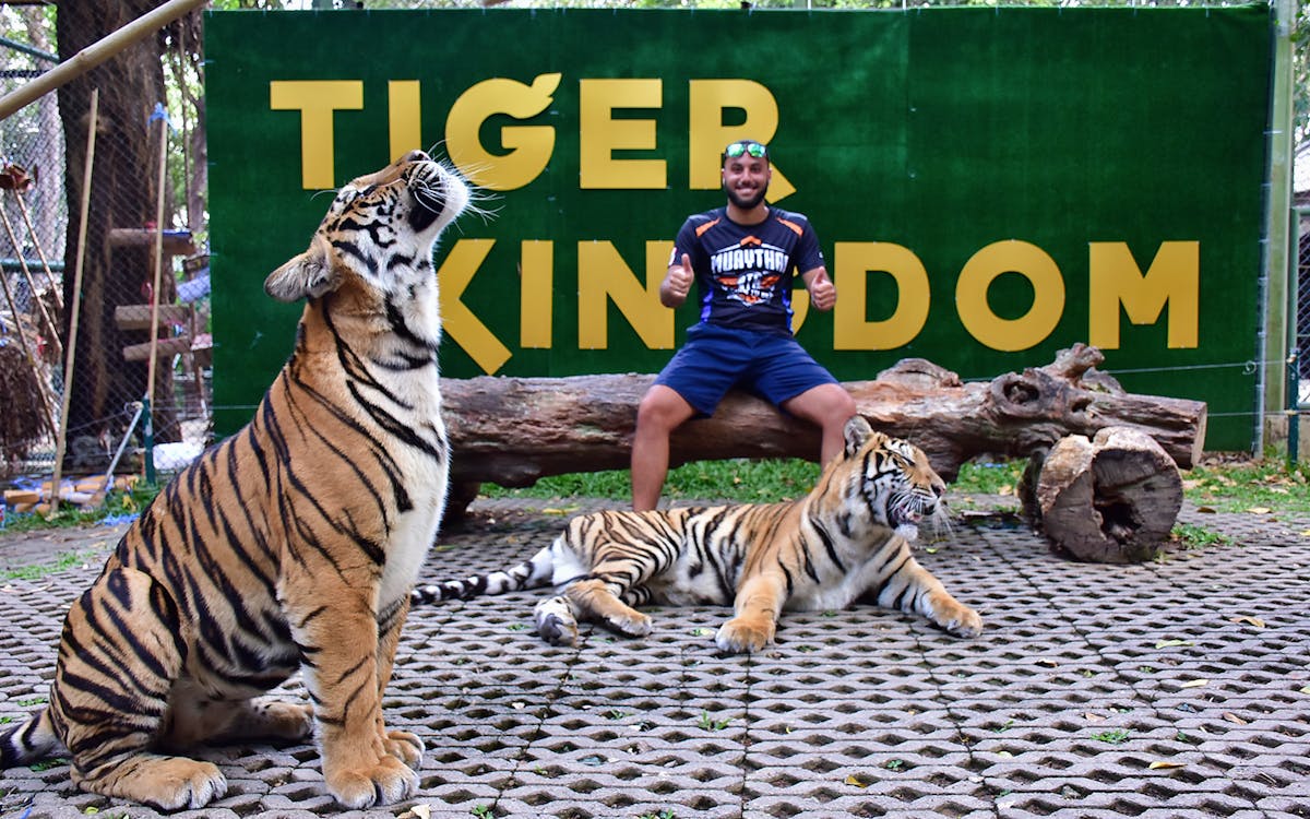 tiger kingdom ticket in phuket-6 tiger kingdom ticket in phuket-6