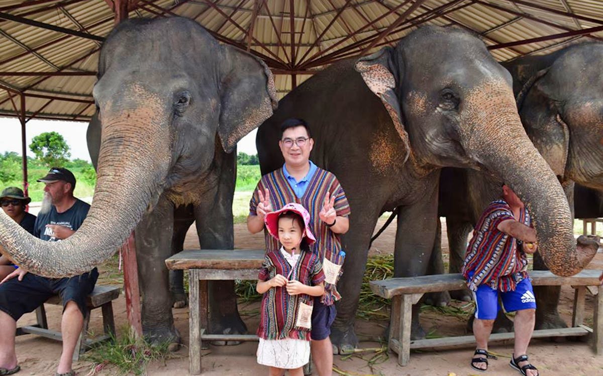 elephant jungle sanctuary pattaya experience-4 elephant jungle sanctuary pattaya experience-4