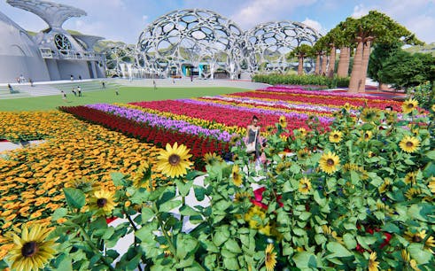 Flower Land Pattaya Ticket