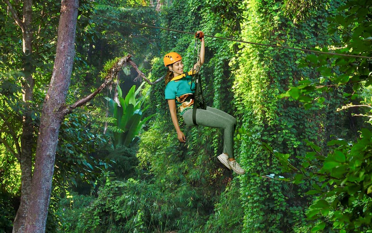 flight of the gibbon chonburi zipline experience with transfer-9 flight of the gibbon chonburi zipline experience with transfer-9