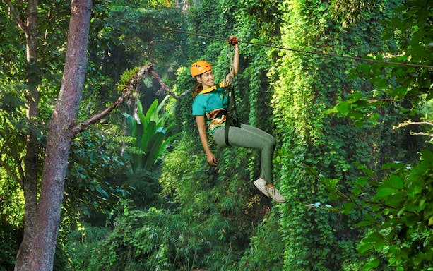 Ziplining through lush forest in Chonburi during Flight of the Gibbon experience.